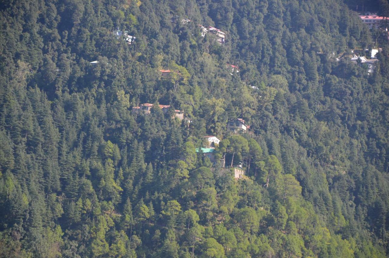 Peaceful Retreat Home Stay, Dalhousie Exteriör bild